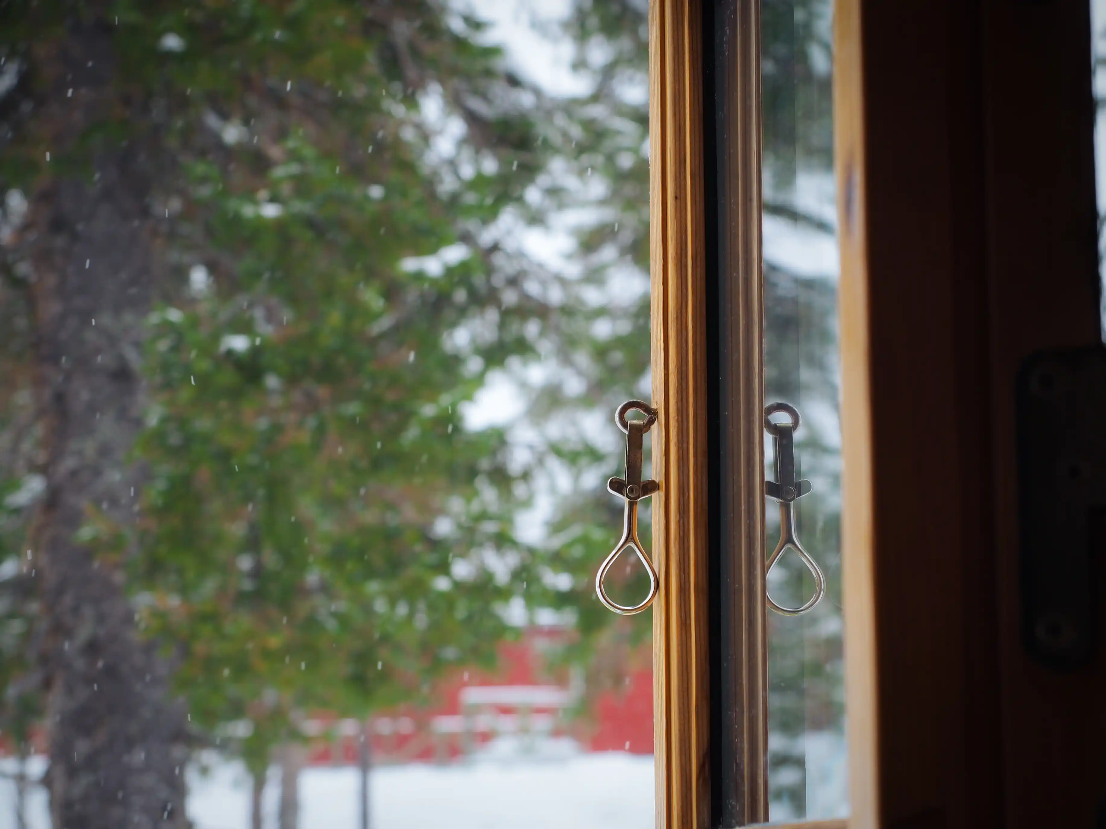 View from the cabin